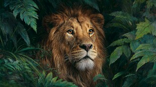 丛林中的威严雄狮