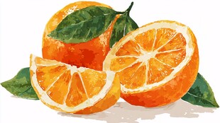 水彩绘鲜橙 清新自然风