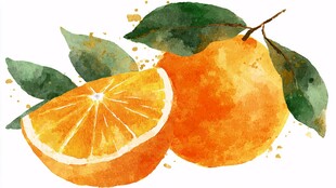 水彩画中的鲜橙与绿叶