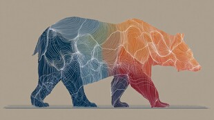 多彩线条构成的抽象熊形象