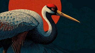 丹顶鹤展翅于红日背景下