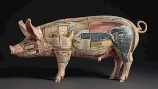 彩绘分割陶猪雕塑艺术品