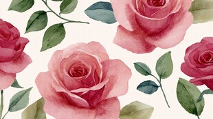 水彩绘粉色玫瑰花卉图案