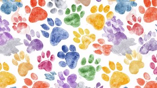 多彩动物爪印水彩图案