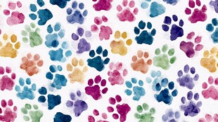 多彩动物爪印水彩图案