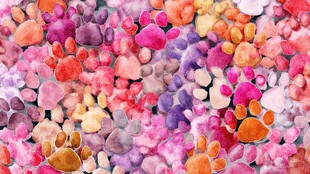 多彩斑斓的梦幻石子图案