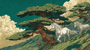 山间双白马悠然漫步