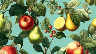 水果枝叶图案的清新壁纸