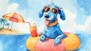 蓝狗狗惬意的海滩时光