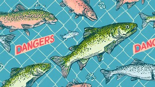 危险中的群鱼图案设计