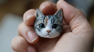 迷你可爱小猫头手捧展示