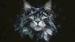 水墨风黑猫特写