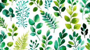 清新水彩绿叶图案背景