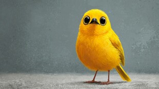 萌趣小黄鸟 大眼惹人爱