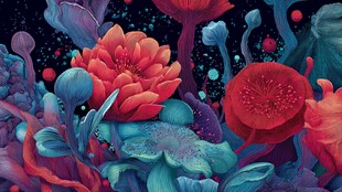 梦幻绚丽的奇幻花卉世界