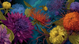 绚丽多彩花卉插画