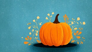 秋季南瓜插画 温馨自然风