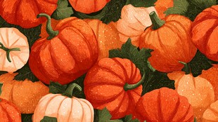 多彩南瓜图案 洋溢秋日氛围