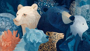 奇幻动物群像 色彩斑斓世界