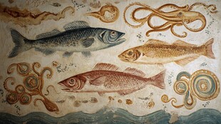 古代海洋生物壁画艺术