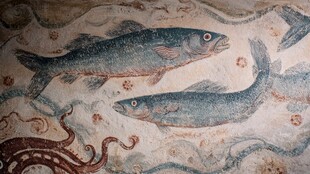 古壁画中的灵动鱼类图案