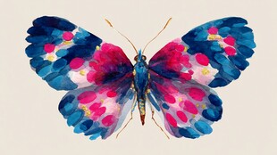 彩色水彩风蝴蝶艺术插画