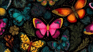 缤纷蝴蝶与绿植梦幻图案