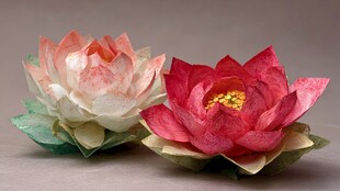 手工折纸荷花两朵展示