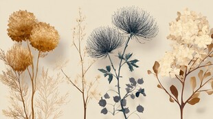 复古风干花植物艺术插画