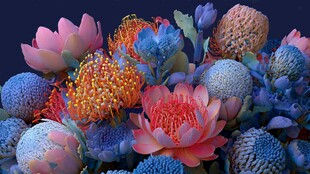 缤纷多彩的梦幻花卉组合