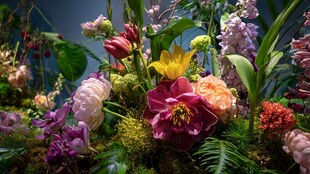 多彩花卉艺术组合景观