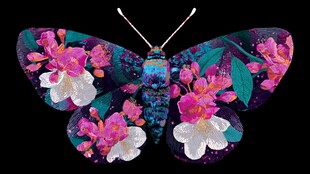 梦幻花卉蝴蝶艺术图案