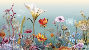 梦幻多彩花卉插画世界