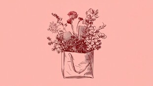 手绘粉色背景中的花束