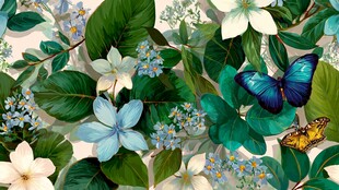 花卉间的蝶舞美景