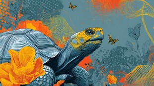 龟栖花丛间 蝶舞伴悠然