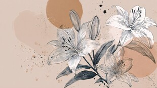 手绘淡雅百合花插画