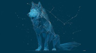 蓝色几何狼与星座星空图