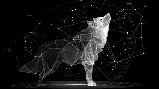 科技感几何狼仰天长啸