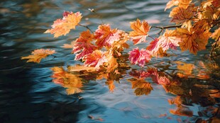 秋日枫叶倒映于湖水间