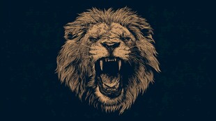 咆哮雄狮 尽显王者风范