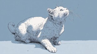 仰头的猫咪素描图