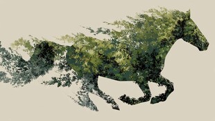 奔跑的绿植骏马艺术图像