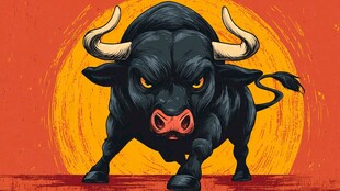 愤怒黑牛蓄势待发