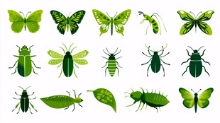 绿彩昆虫集合图