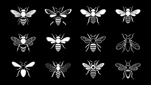 多样蜜蜂图标集合