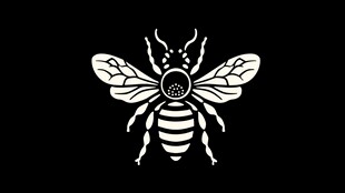 黑白简约风蜜蜂图案
