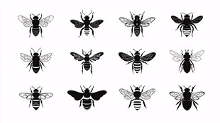 多样蜜蜂图标集合