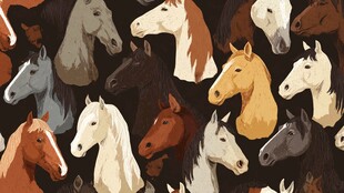 多彩马头图案 风格独特