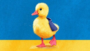 可爱小黄鸭穿披风站立